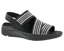 Black Silver Combo-SUTTON 1