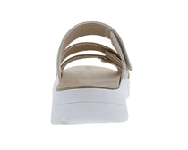 Natural Combo-SAWYER 5