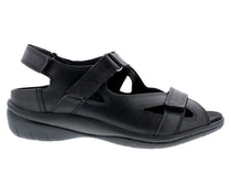 Black Leather-LAGOON 7