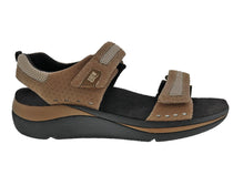 Brown Mesh Combo-SOPHIE 5
