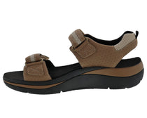 Brown Mesh Combo-SOPHIE 6