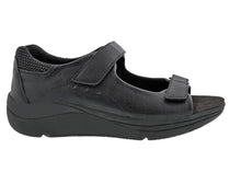 Black-SHASTA 6